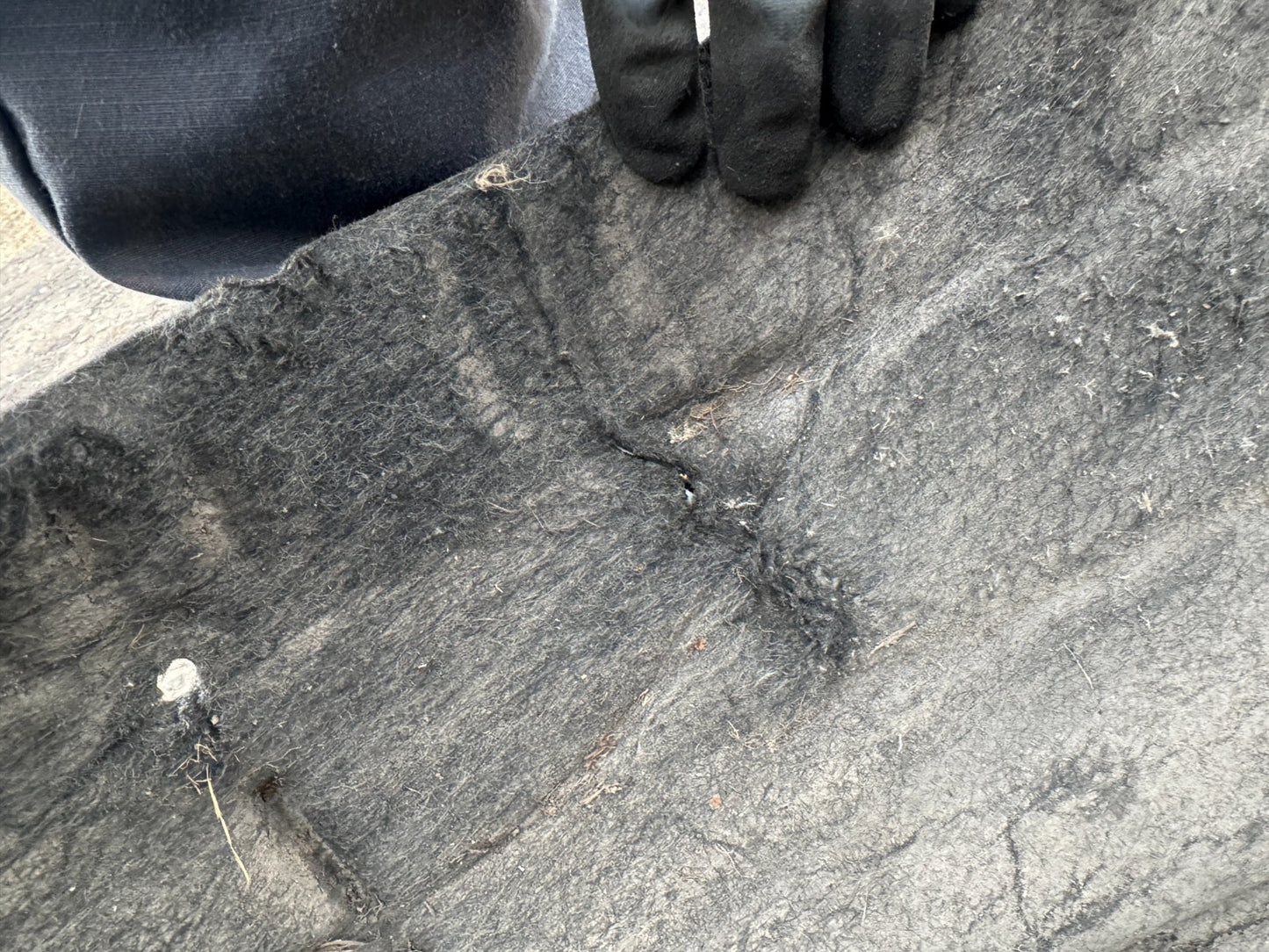 Genuine Ford Focus O/S Front Wheel Arch Liner 2018-On 2481503