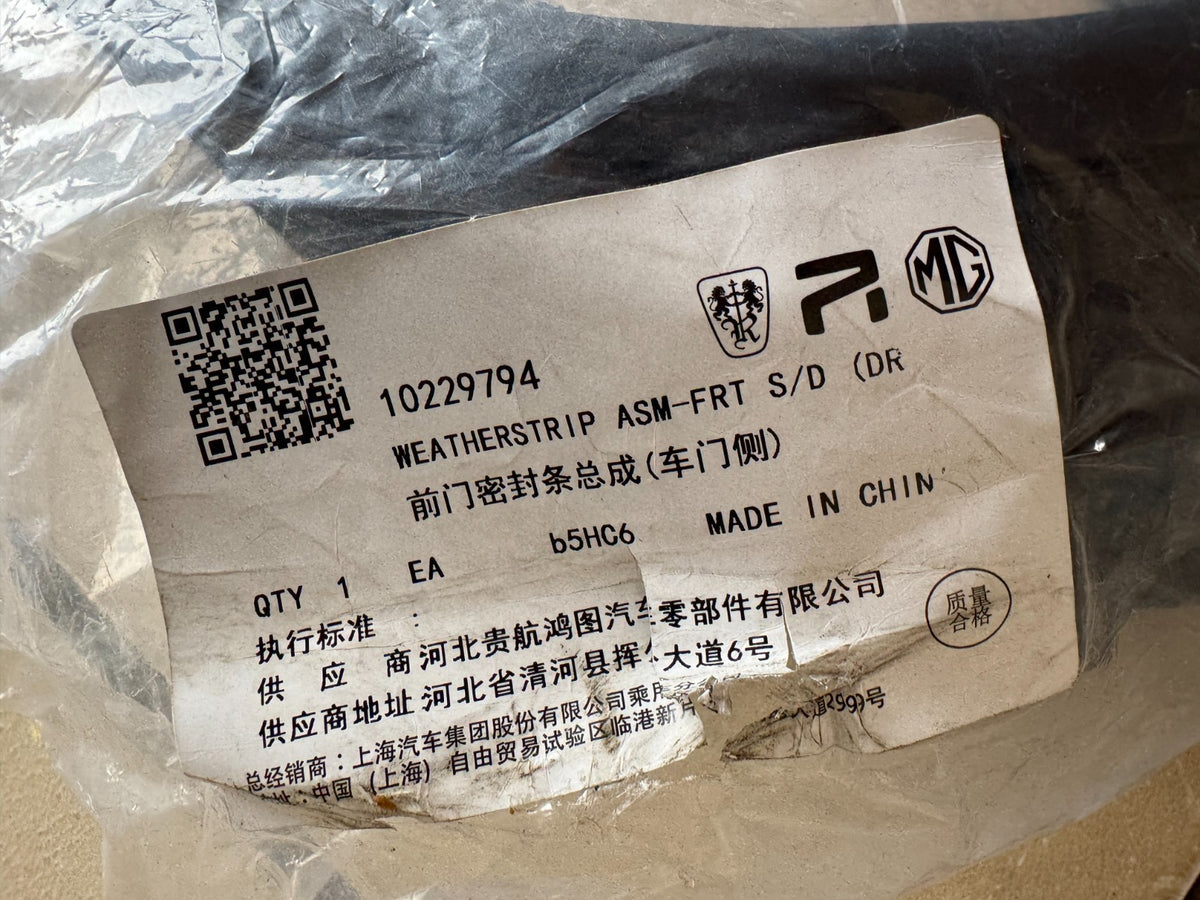 ยางขอบกระจกประตูหน้า LH OEM MG ZS EV (19‑24) 10229794