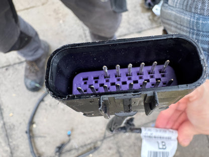 Genuine 2025 Land Rover Discovery Sport Front Bumper Wiring Loom LR143854