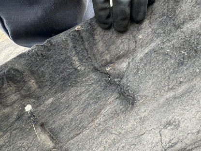 Genuine Ford Focus O/S Front Wheel Arch Liner 2018-On 2481503