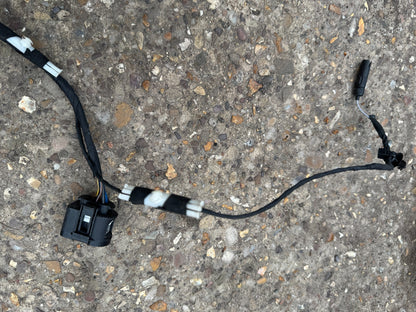 BMW 5 F10 F11 2012 Right or Left rear door wiring loom 9312735