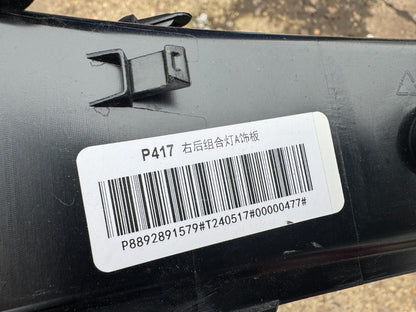 Polestar 4 P417 Volvo Sealing Cover RIGHT 80007389 267.651-02