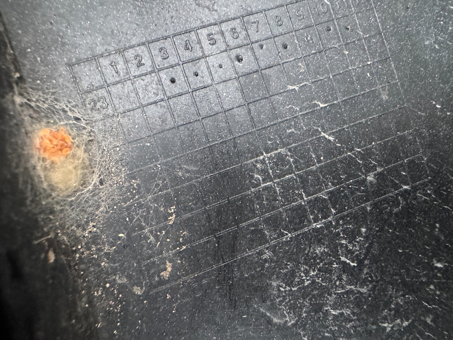 Hyundai Kona II SX2 2023 Front Right wing fender trim molding 87712HF010