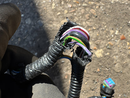 2025 LAND ROVER RANGE ROVER WIRING LOOM FOR REAR BUMPER PARKING SENSORS