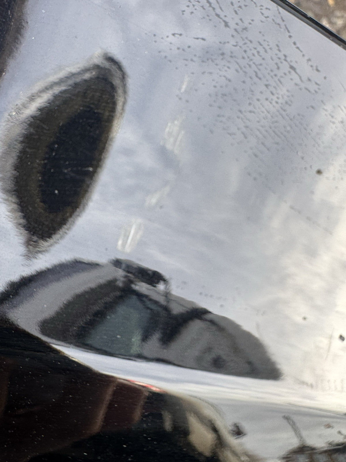 HY3M-21064-A Land Rover Discovery 5 Front Right Door Lower Cladding Mould Trim*