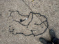 VOLVO S60/V90/S90 Front Bumper Wiring Harness 32311903 Damaged GENUINE