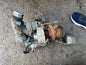 Sprinter W906 2.1D 2.2 CDI Twin Turbo Charger BorgWarner A6510905380 Used