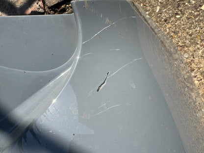 2025 SEAT CUPRA BORN REAR BUMPER 2021-ON 10E807421B SCRATCHED