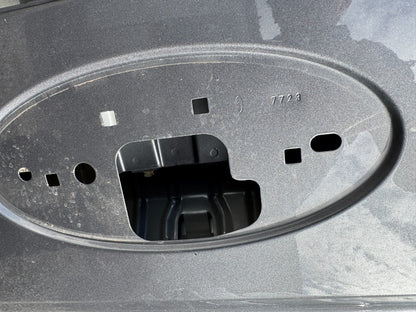 Genuine FORD RANGER WILDTRAK Tailgate OEM N1WBE40062 Damaged