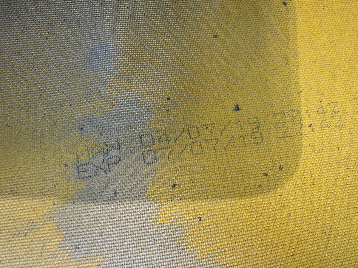 Front Door JEEP WRANGLER Yellow Left 2018-2024