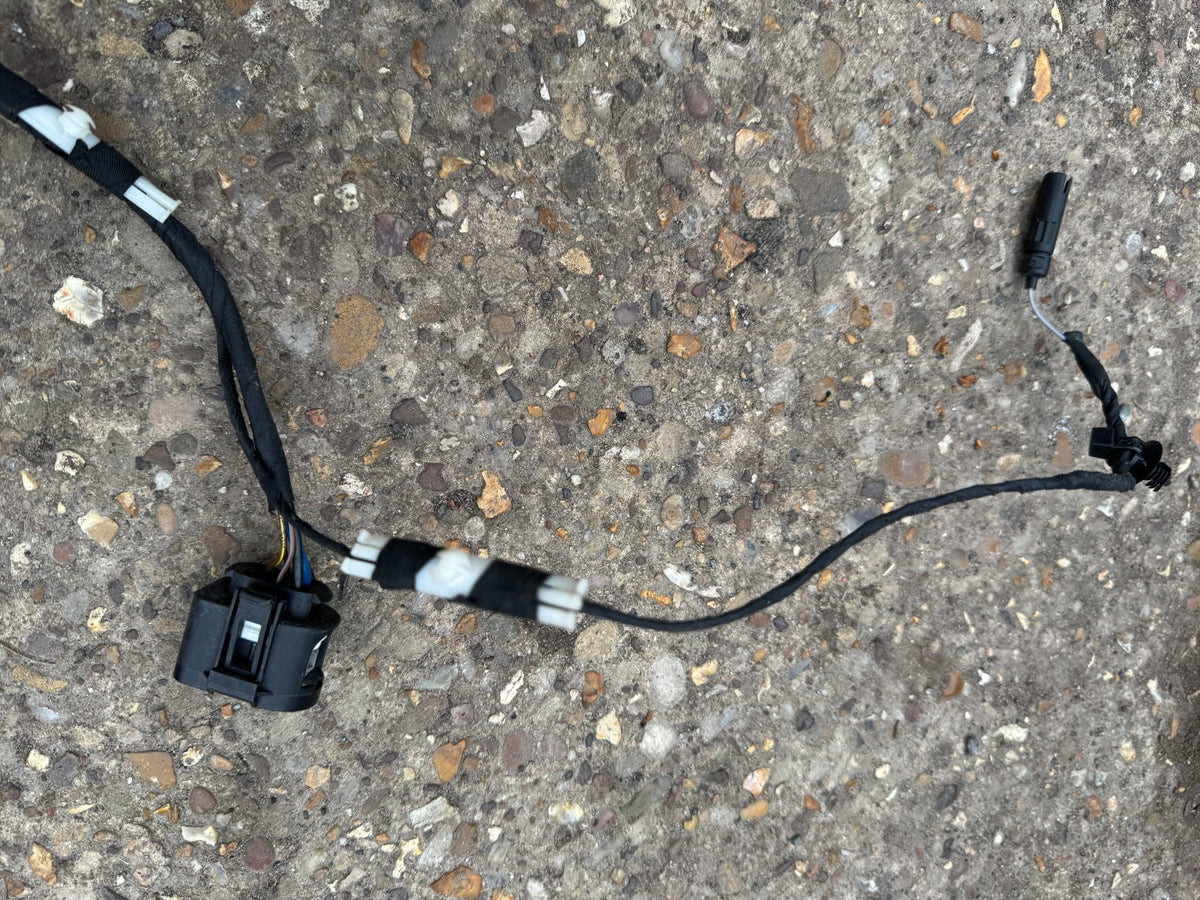 BMW 5 F10 F11 2012 Kabel Body / Wiring Loom Pintu Belakang Kanan atau Kiri 9312735