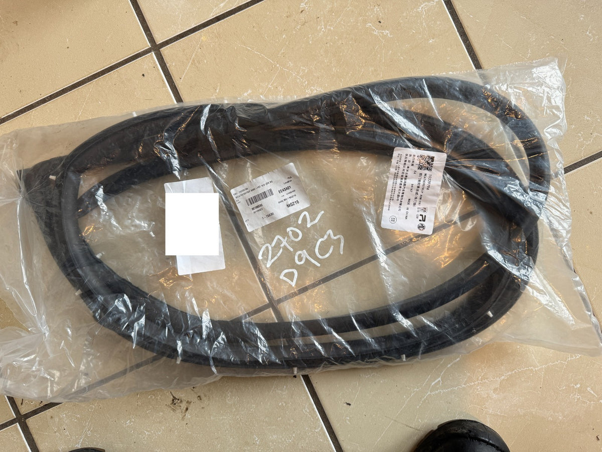 ยางขอบกระจกประตูหน้า LH OEM MG ZS EV (19‑24) 10229794