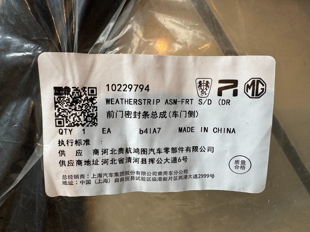 ยางขอบกระจกประตูหน้า LH OEM MG ZS EV (19‑24) 10229794