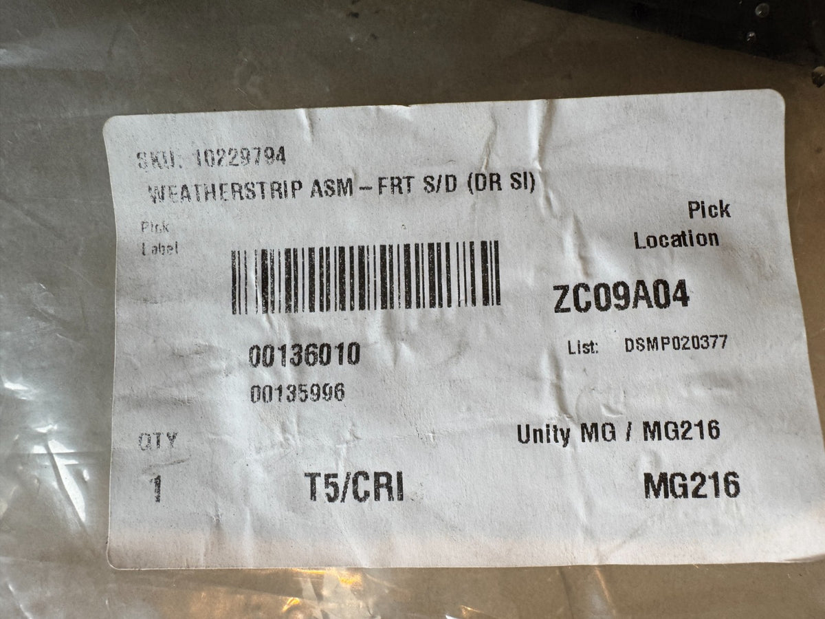 ยางขอบกระจกประตูหน้า LH OEM MG ZS EV (19‑24) 10229794