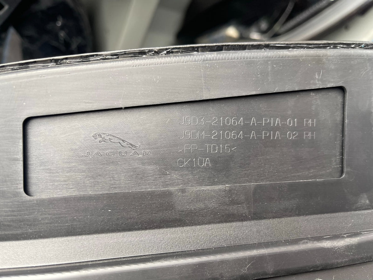 Jaguar I Pace List Moulding Pintu Samping Kanan Depan J9D3-21064-A Original