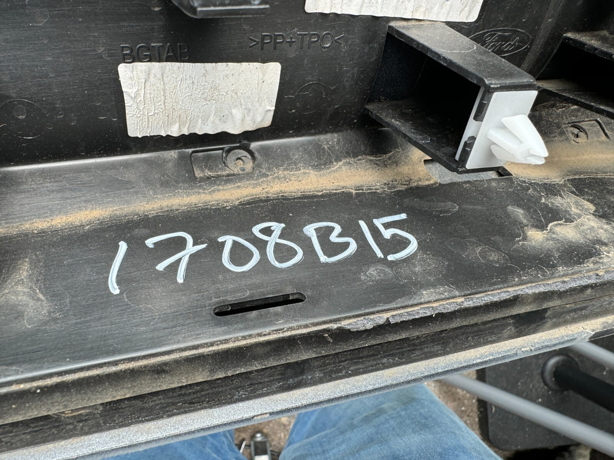 FORD PUMA 2024 List Moulding Pintu BELAKANG KANAN L1TBS24902