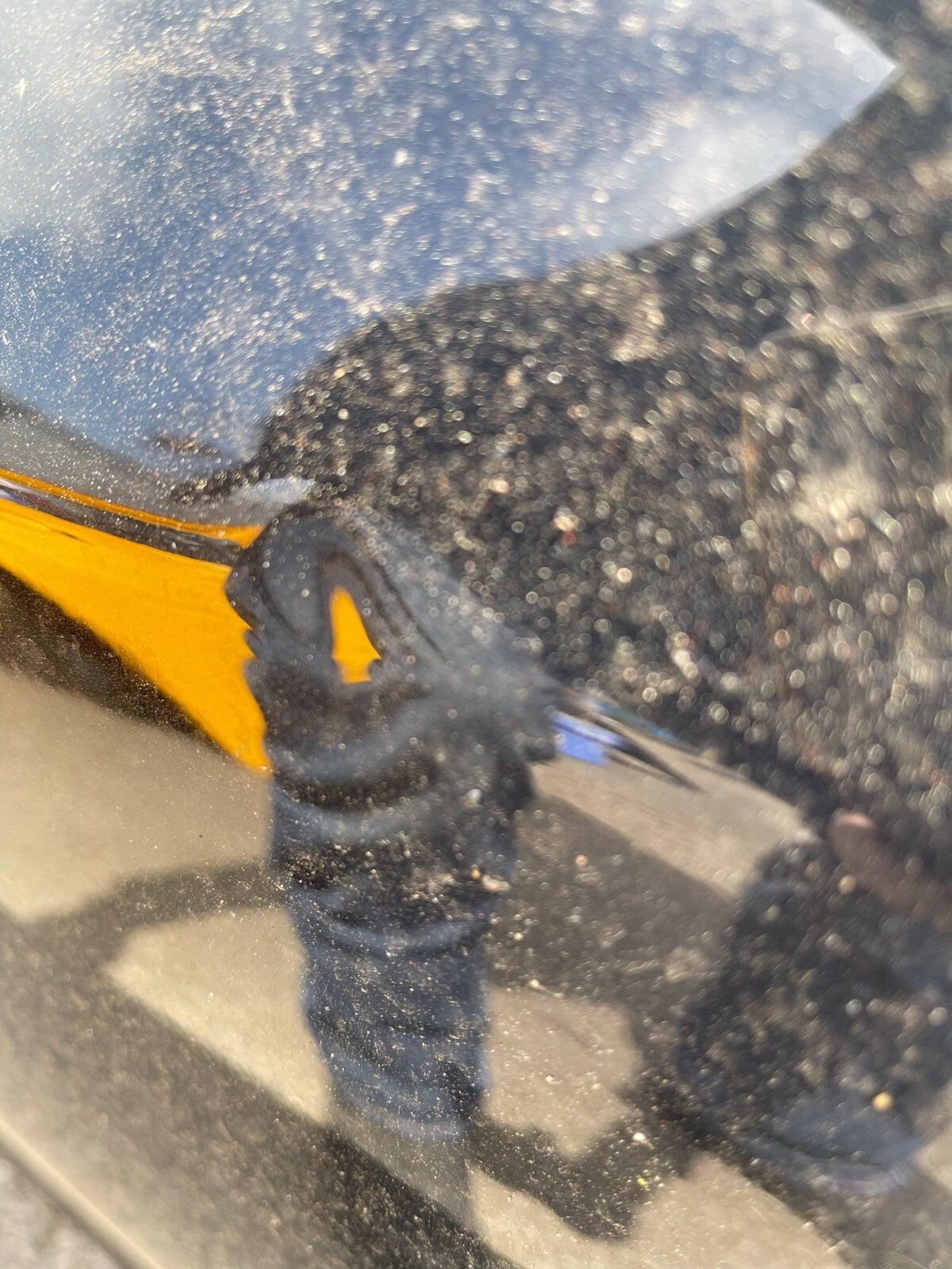 Volvo 142459 RIGHT Bare Door