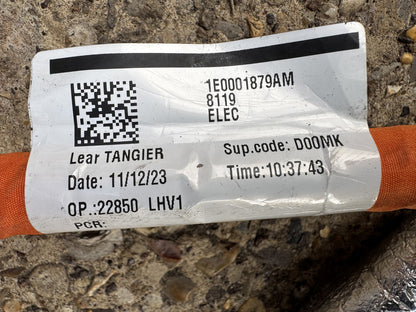 LEVC TXE TAXI ELECTRIC CHARGING PORT SOCKET INLET HV CABLES 1E0001879AM CCS